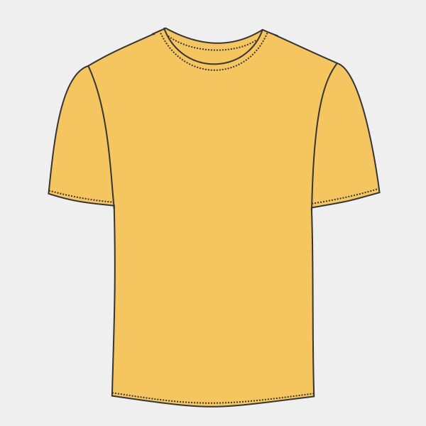 Softstyle® Youth Midweight T-Shirt Thumbnail
